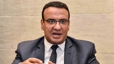 متحدث البرلمان : نتائج الاستفتاء أكبر رد عملي على قوى الشر والظلام والإرهاب