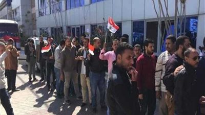 بالبرهان..براءة الاستفتاء من الكراتين في الإسكندرية