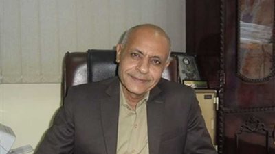 إسكان الوادي الجديد: فتح الباب لحجز المنازل الريفية بالمحافظة