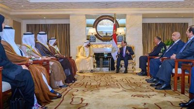 ابن راشد: السيسي يقود تطورات اقتصادية بأكبر دول المنطقة (صور)