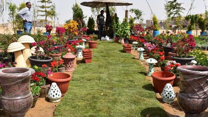 الدنيا ربيع