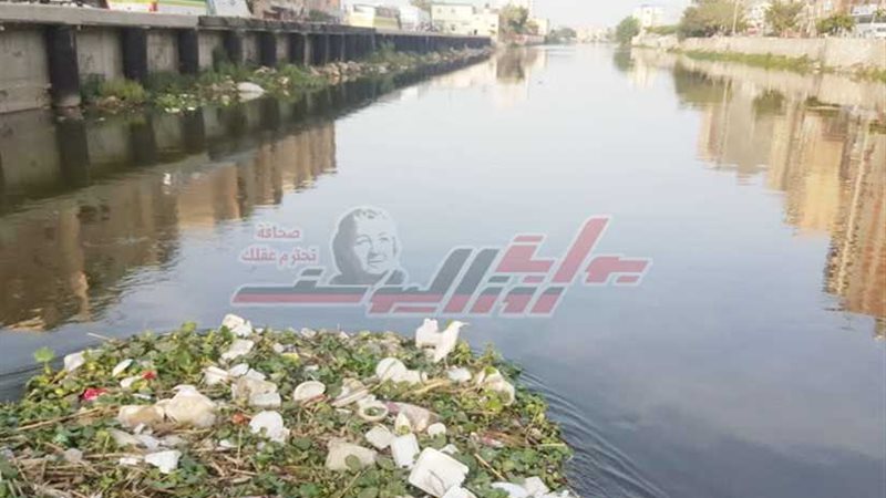 القمامة والحيوانات