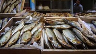 ضبط 500 كيلو فسيخ و20 صندوق رنجة فاسدة بـ