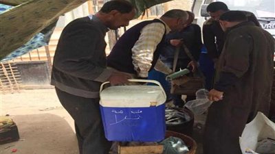 أسماك فاسدة ومحاضر بالجملة في حملة مفاجئة بـ” المنوفية“