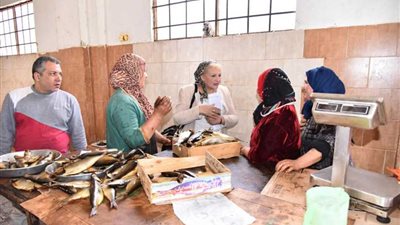 الصحة: إعدام 8 أطنان أسماك مملحة ومدخنة فاسدة قبيل أعياد الربيع