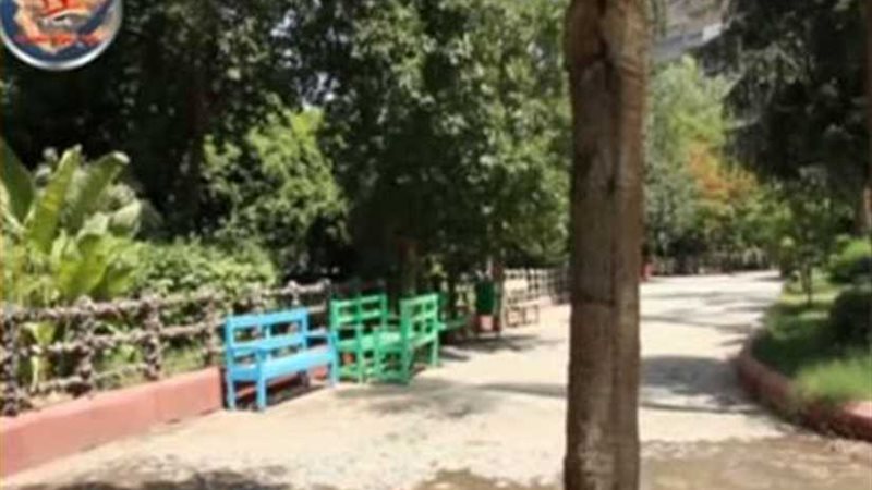 الزراعة: منافذنا