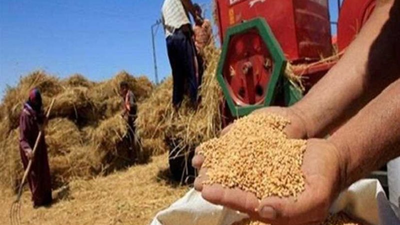 توريد 2740 طن قمح