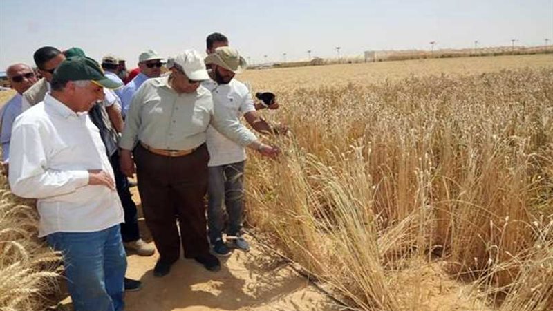 وزير الزراعة يفتتح