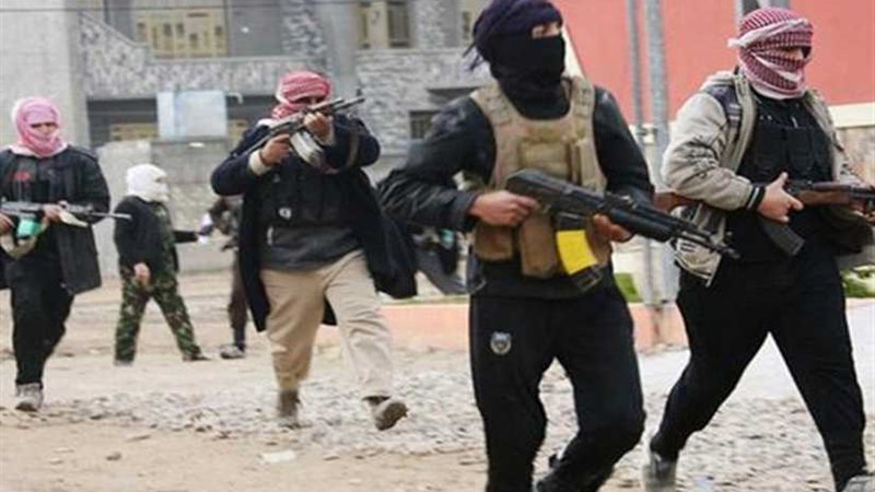 خلايا التماسيح..عناصر