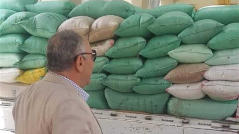 توريد 6236 طن قمح