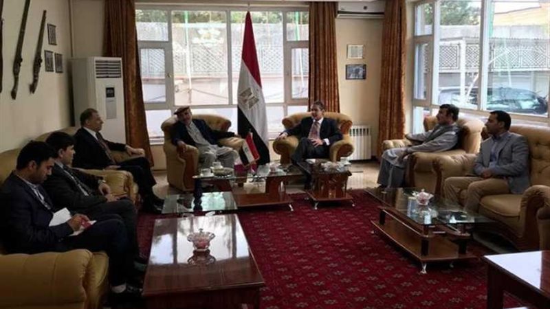 السفير المصري في