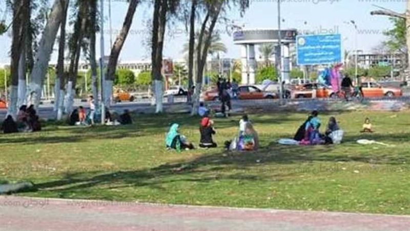 تأمين الحدائق والمنشآت