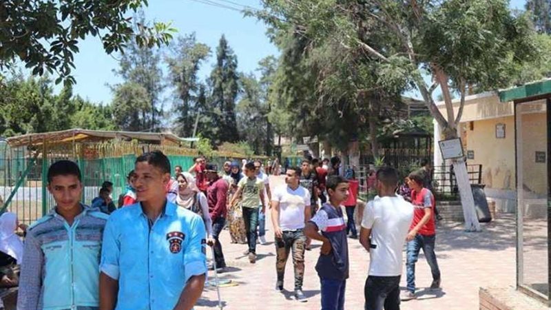 مواطنو كفر الشيخ