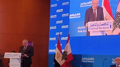 أبو الغيط: العقد الأخير كان مأسويا وتدميريا بسبب بطالة الشباب