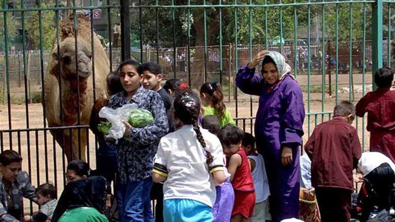 120 ألف مواطن استمتعوا