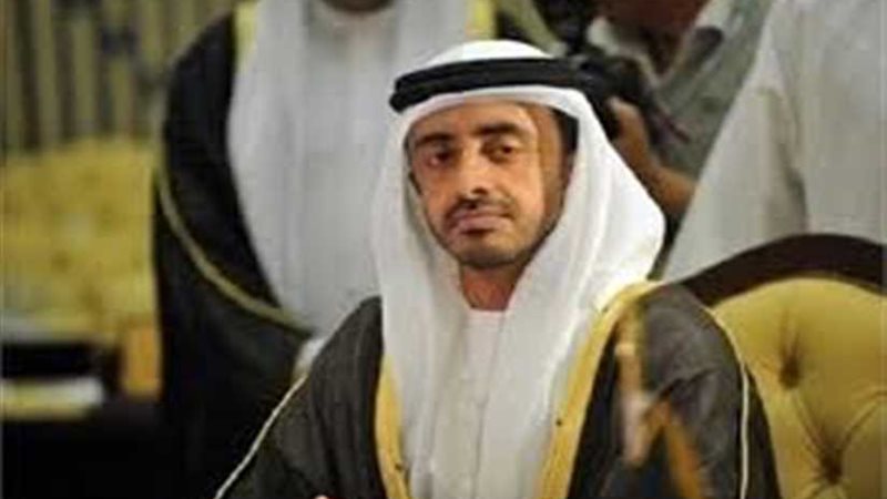 وزير الخارجية الإماراتي