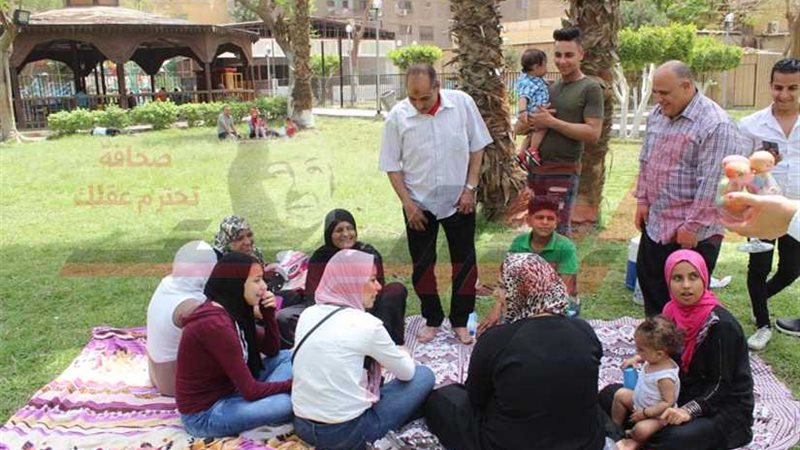 فرحة المصريين فى