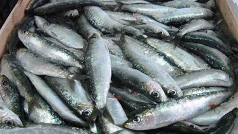 تفاصيل مضبوطات شرطة