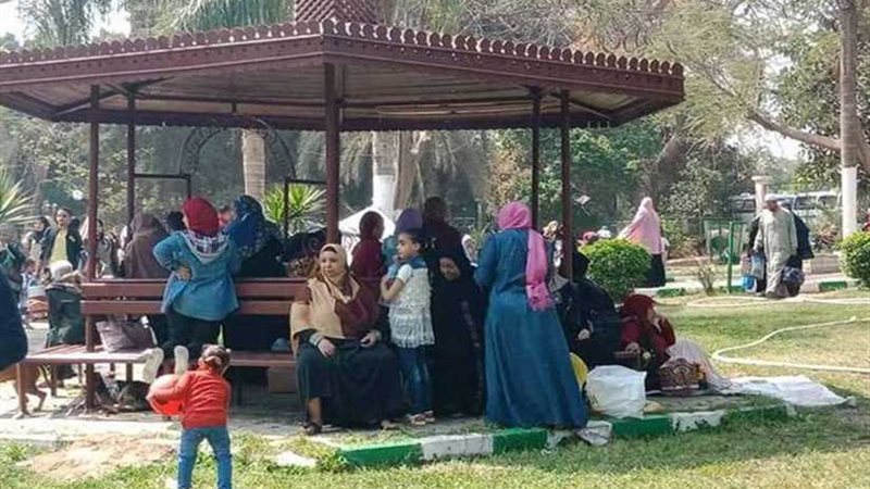 موجز الرابعة.. النقد