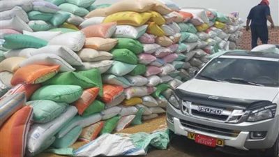 توريد 21 ألف طن قمح لشون وصوامع البحيرة