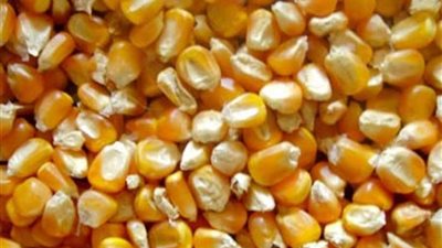 وصول 144 ألف طن قمح وذرة لميناء الإسكندرية