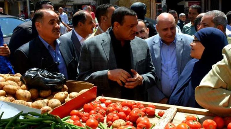 محافظ البحيرة يتفقد