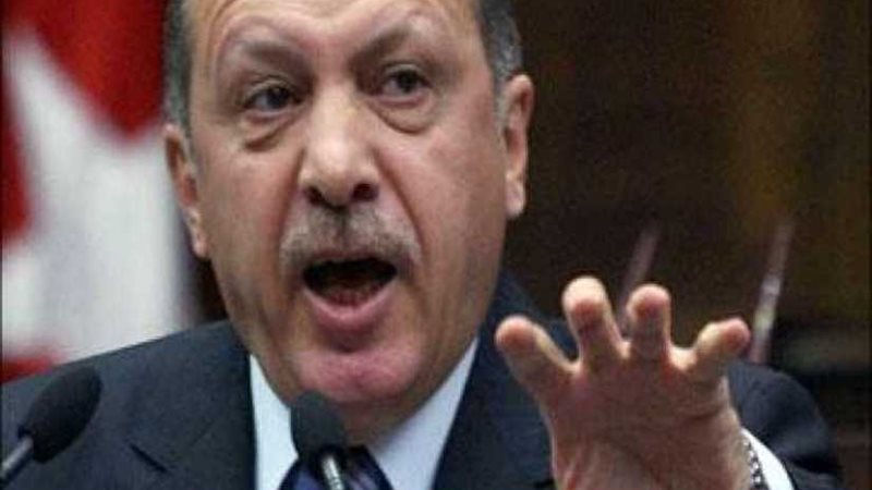 الرئيس التركى يكشف