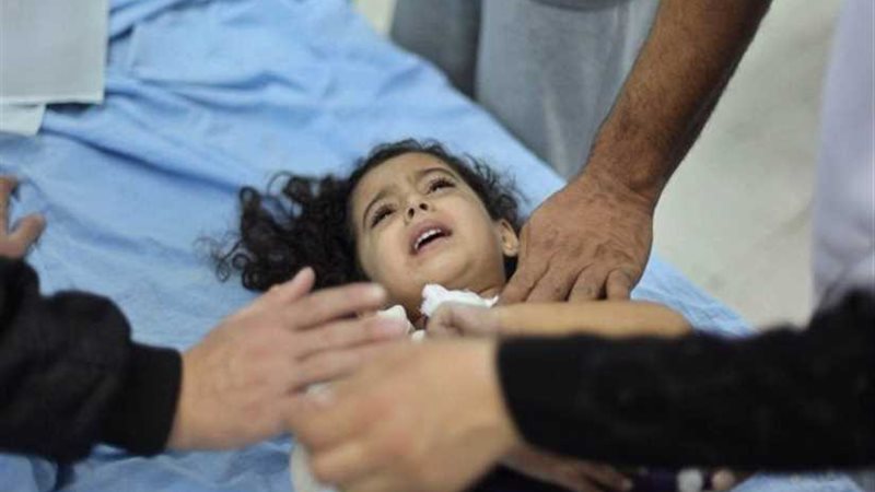 سموم الإسكندرية يحذر