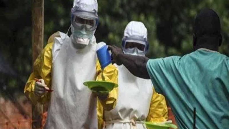 عدد الوفيات بسبب