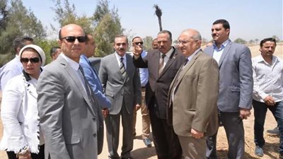 تطوير أكثر من 650 فدانا بمزارع الغريب..(صور)