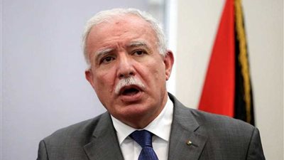 فلسطين تعرب عن تقديرها لمصر لوقف العدوان على غزة