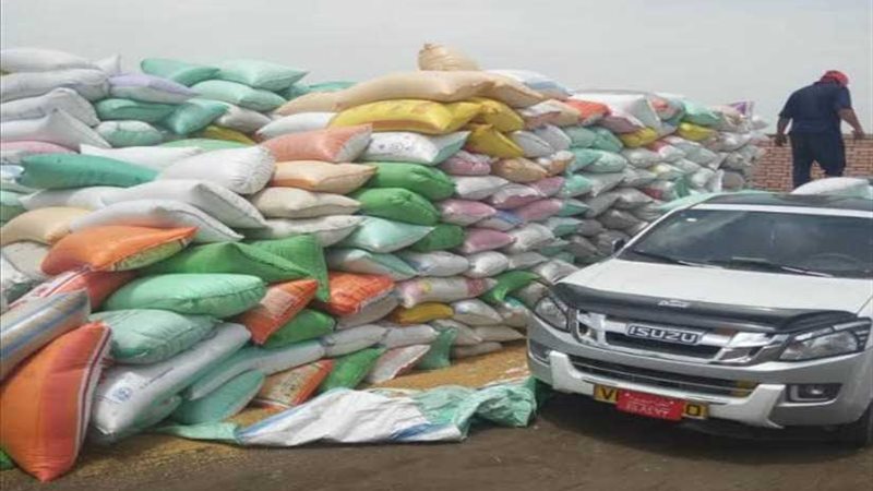 توريد 31 ألف طن قمح