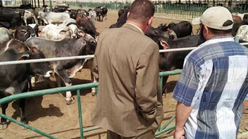 بشاير الخير.. مشروع