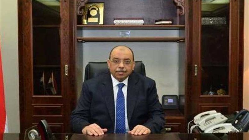 التنمية المحلية: