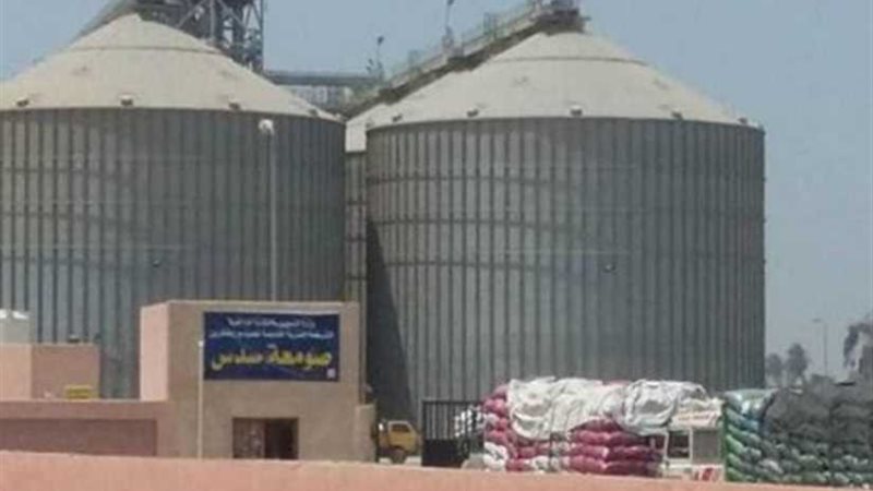 توريد القمح ببني