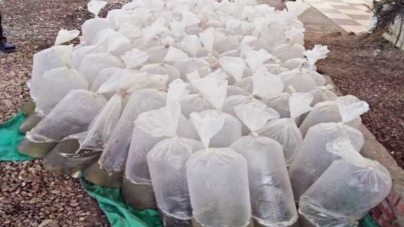 ضبط 146 ألف وحدة