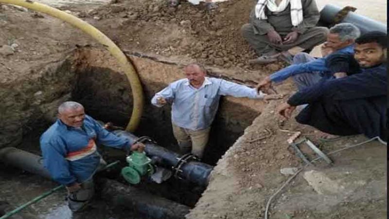 محافظ أسيوط: تكثيف