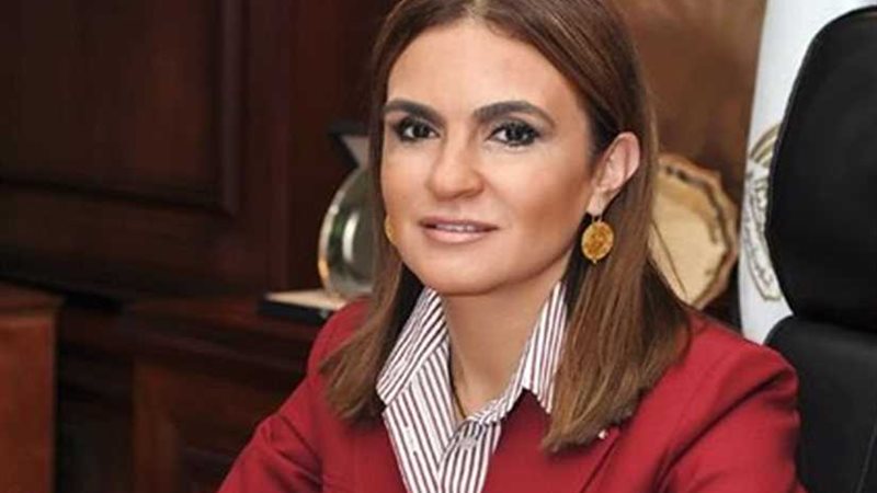 وزيرة الاستثمار :