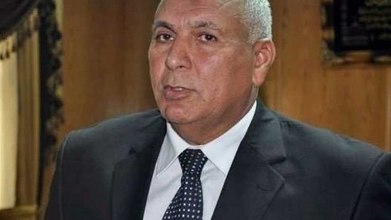 محافظ الوادي الجديد