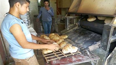 50 محضرا لمخابز سمسطا وببا