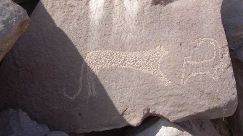 العثور على أوائل