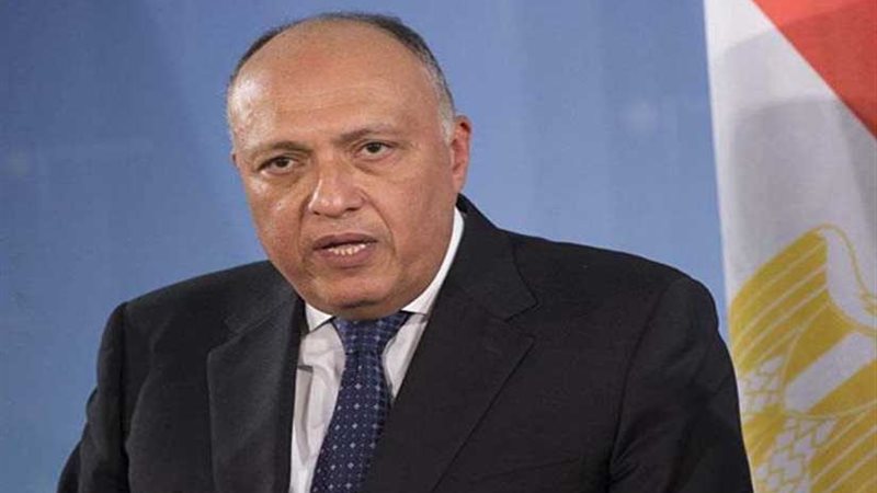 شكري يستقبل السكرتيرة