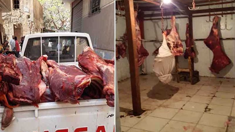 ضبط 770 كيلو لحوم