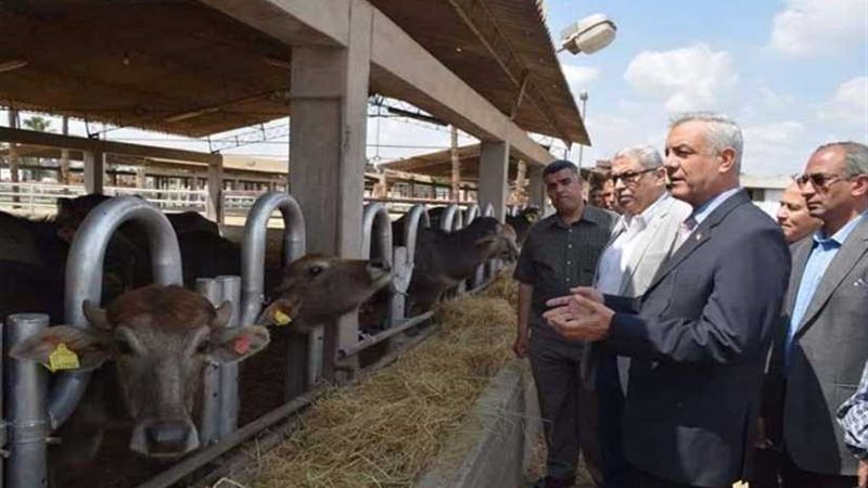 مزرعة بحوث طوخ طنبشا