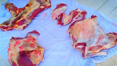 ضبط 735 قضية تموينية في حملة بالبحيرة