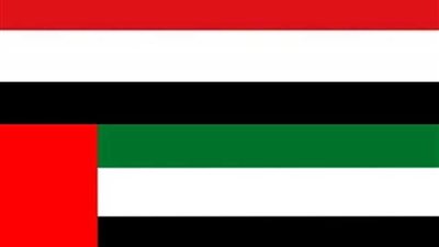 اليمن يدين تعرض 4 سفن قرب المياه الإماراتية لعمل تخريبي