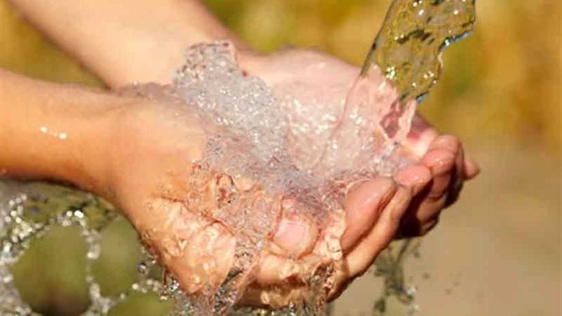 10 مناطق في الجسم