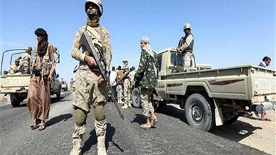 الجيش اليمني يستهدف تجمعات للحوثيين في الضالع