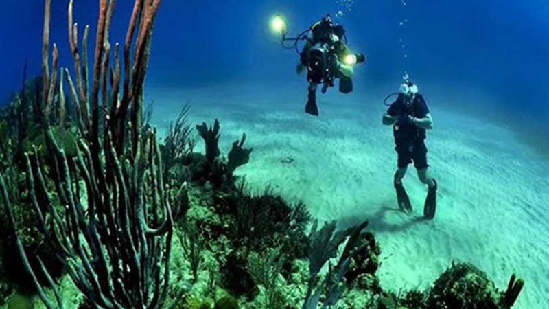 العثور على نفايات