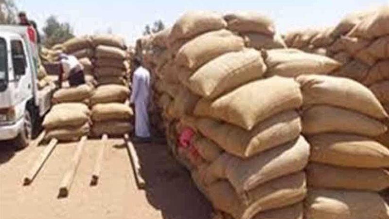 محافظ الجيزة : توريد